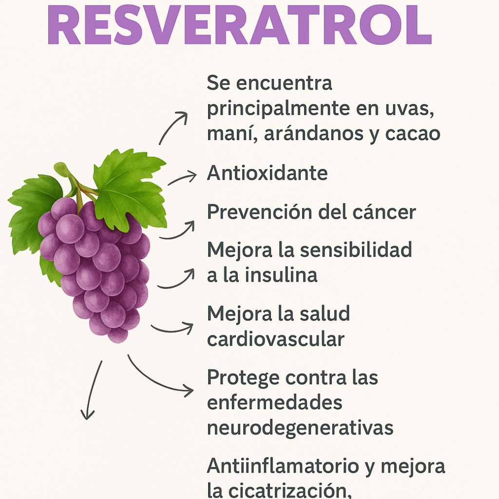 Gomas Antioxidantes con Colágeno y Resveratrol – Para qué sirve y beneficios | 60 unidades